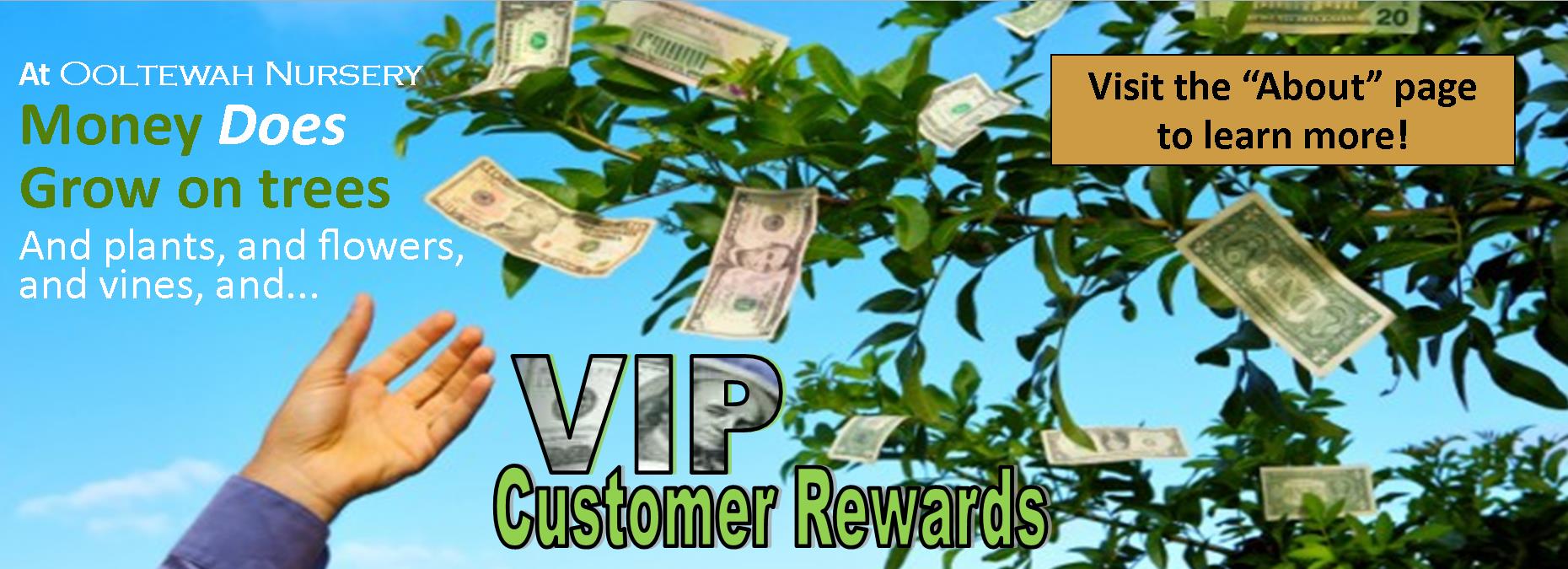 assets/Uploads/VIP-Rewards23.jpg